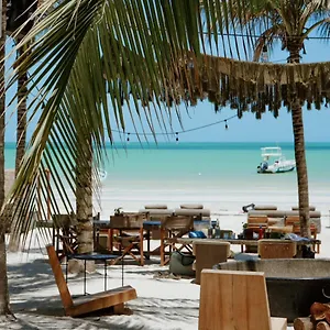 ホテル Casa Tortugas Petit &